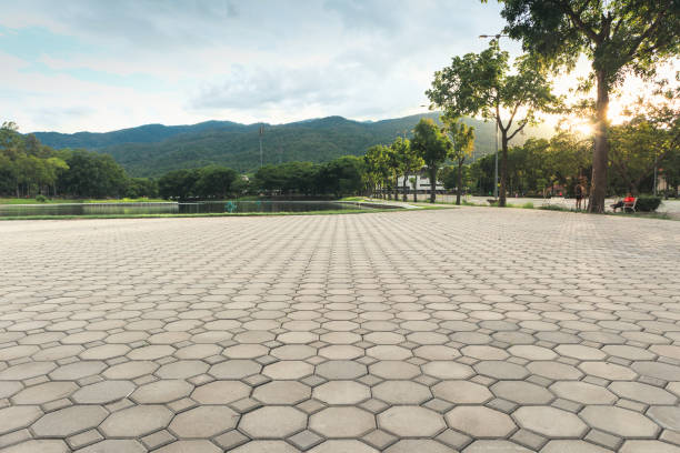 Best Custom Driveway Pavers  in Emmitsburg, MD